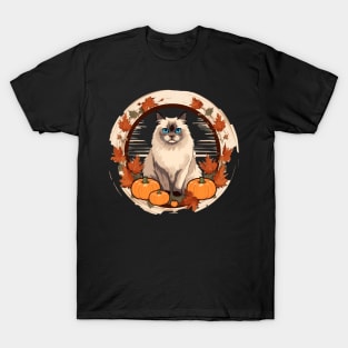 Birman Cat Halloween, Cat Lover T-Shirt